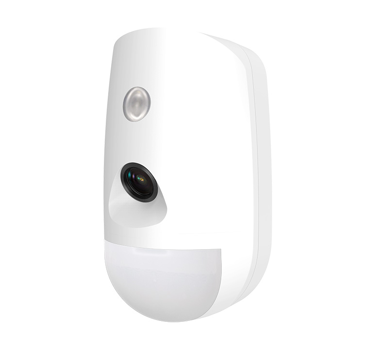 Motion detector + camera